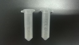 研磨指甲提取核酸實(shí)驗(yàn)